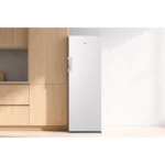 Congélateur armoire ESSENTIELB ECAV170-55hib4 – Image 3