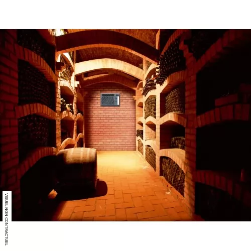 Climatiseur encastré réversible pour cave à vin Wine C50 SX